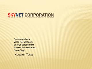 Sky Net Corporation