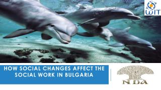How social changes affect the social work in Bulgaria