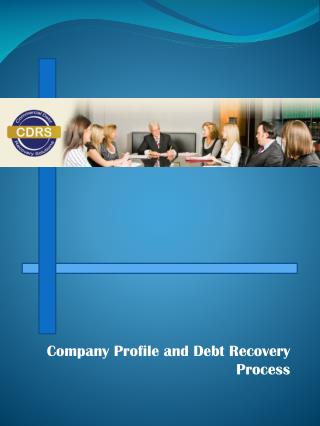 Company Profile and Debt Recovery Process