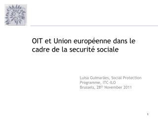 Luisa Guimarães , Socia l Protection Programme , ITC-ILO Brussels, 28 th November 2011
