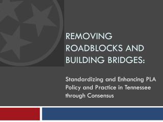 Removing roadblocks and building bridges: