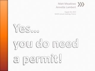 Yes… you do need a permit!