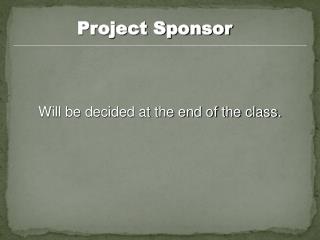 Project Sponsor