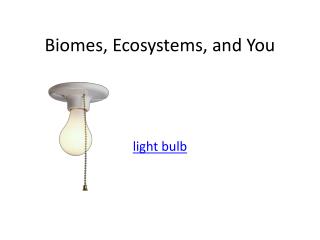 Biomes, Ecosystems, and You