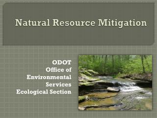 Natural Resource Mitigation