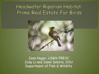 Headwater Riparian Habitat: Prime Real Estate For Birds
