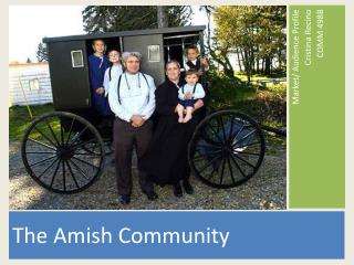The Amish Community