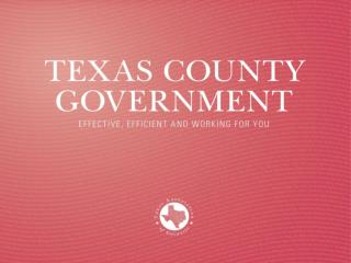 Texas County Government