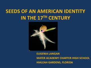 SEEDS OF AN AMERICAN IDENTITY IN THE 17 TH CENTURY