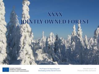 XXXX JOINTLY OWNED FOREST