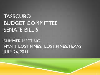 TASSCUBO BUDGET COMMITTEE Senate Bill 5 Summer Meeting Hyatt Lost Pines, Lost Pines, Texas July 26, 2011