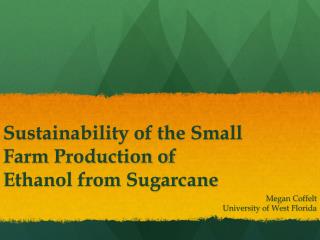 Sustainability of the Small Farm Production of Ethanol from Sugarcane