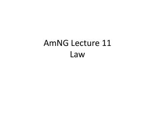 AmNG Lecture 11 Law