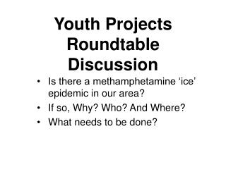 Youth Projects Roundtable Discussion