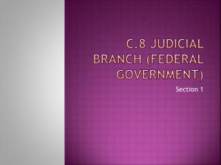 C.8 Judicial branch (federal government)