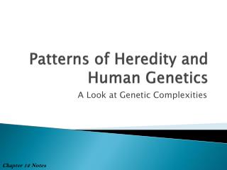 Patterns of Heredity and Human Genetics