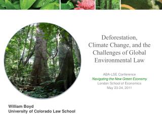 Deforestation, Climate Change, and the Challenges of Global Environmental Law