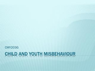 Child and Youth misbehaviour