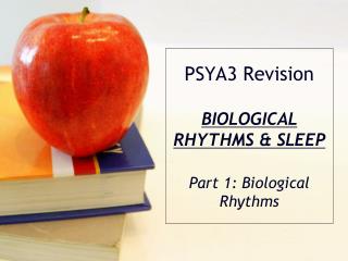 PSYA3 Revision BIOLOGICAL RHYTHMS &amp; SLEEP Part 1: Biological Rhythms