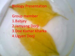 Biology Presentation Group member Babjey Jamyang Dorji Doe Kumar Kharka Ugyen Dorji