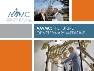 The AAVMC provides leadership for and promotes excellence in academic veterinary medicine to prepare the veterinary wor