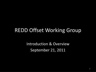 REDD Offset Working Group