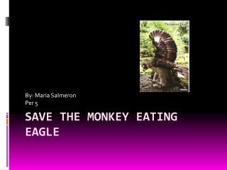 Save The Monkey Eating Eagle