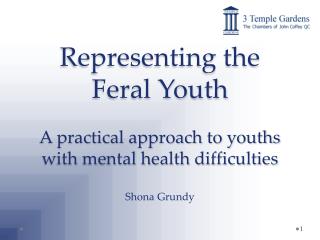 Representing the Feral Youth A practical approach to youths with mental health difficulties