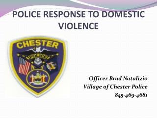 POLICE RESPONSE TO DOMESTIC VIOLENCE