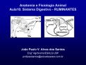 anatomia e fisiologia animal aula10. sistema digestivo - ruminantes