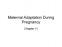 maternal adaptation during pregnancy