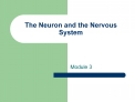 The Neuron and the Nervous System