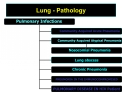 Lung - Pathology