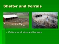 Shelter and Corrals