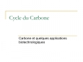 Cycle du Carbone