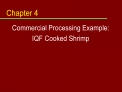 Commercial Processing Example: IQF Cooked Shrimp