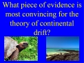 What piece of evidence is most convincing for the theory of continental drift