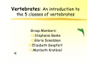 Vertebrates: An introduction to the 5 classes of vertebrates