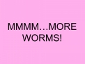 MMMM MORE WORMS