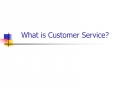 What is Customer Service