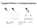 Targeted Effects of Ionizing Radiation