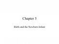 Birth and the Newborn Infant