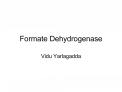 Formate Dehydrogenase