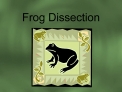 Frog Dissection