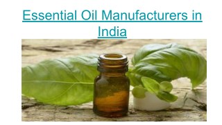 Natural Essential Oils Manufacturer in India