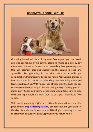 GROOM YOUR POOCH WITH US