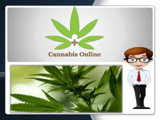 Cannabis Listings - Complete Free Events Directories