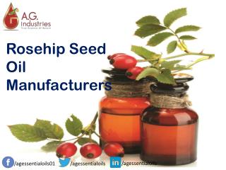 Rosehip Seed Oil Manufacturers