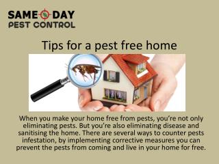 Tips for a pest free home