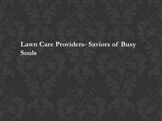 Lawn Care Providers- Saviors of Busy Souls